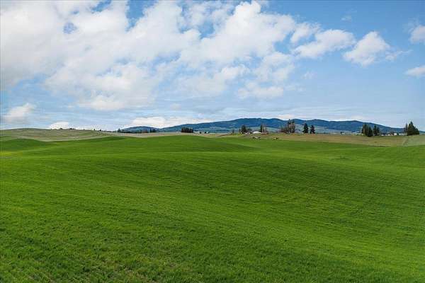 45.2 Acres of Land for Sale in Valleyford, Washington