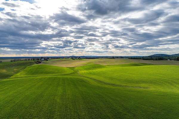 45.2 Acres of Land for Sale in Valleyford, Washington