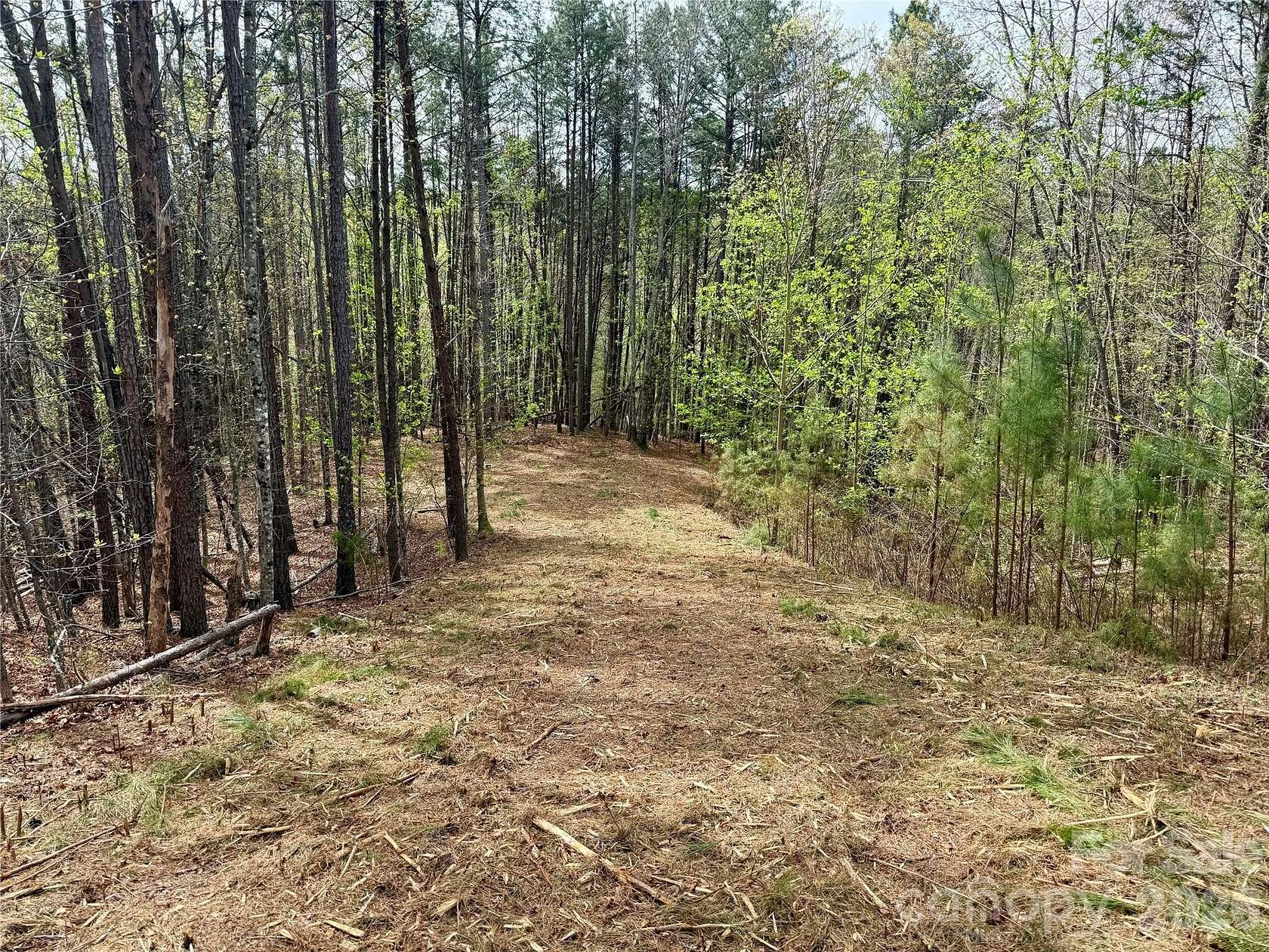 4 Acres of Residential Land for Sale in Nebo, North Carolina
