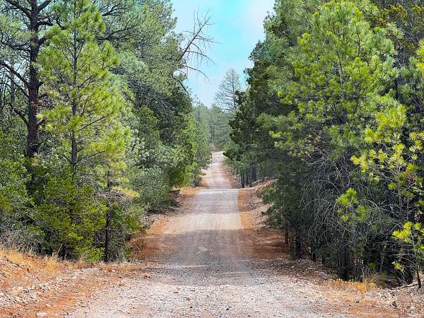 1 Acre of Residential Land for Sale in Timberon, New Mexico