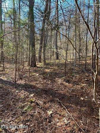 1 Acre of Residential Land for Sale in Madisonville, Tennessee
