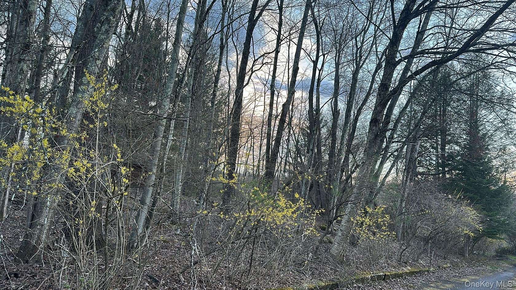 0.61 Acres of Residential Land for Sale in Woodridge, New York