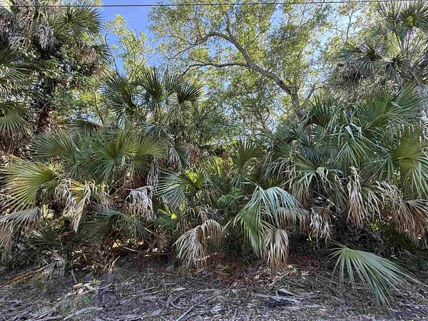 0.22 Acres of Residential Land for Sale in Crawfordville, Florida