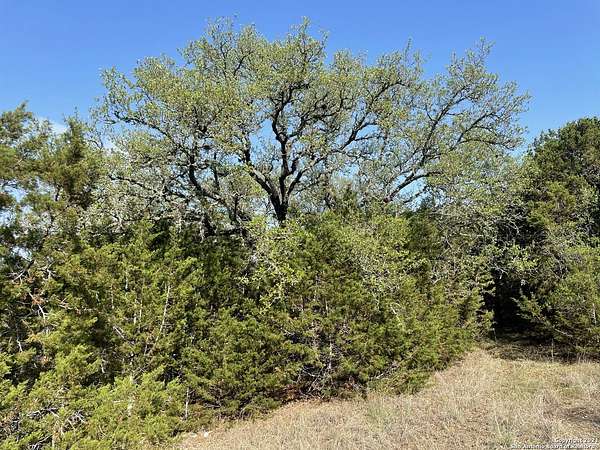 0.96 Acres of Residential Land for Sale in Fischer, Texas