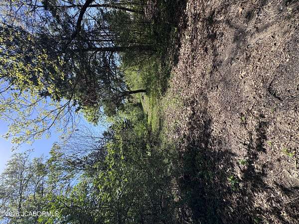 2 Acres of Residential Land for Sale in Holts Summit, Missouri