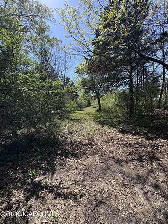 2 Acres of Residential Land for Sale in Holts Summit, Missouri