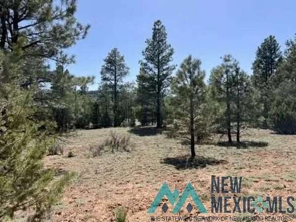 6 Acres of Land for Sale in Ramah, New Mexico