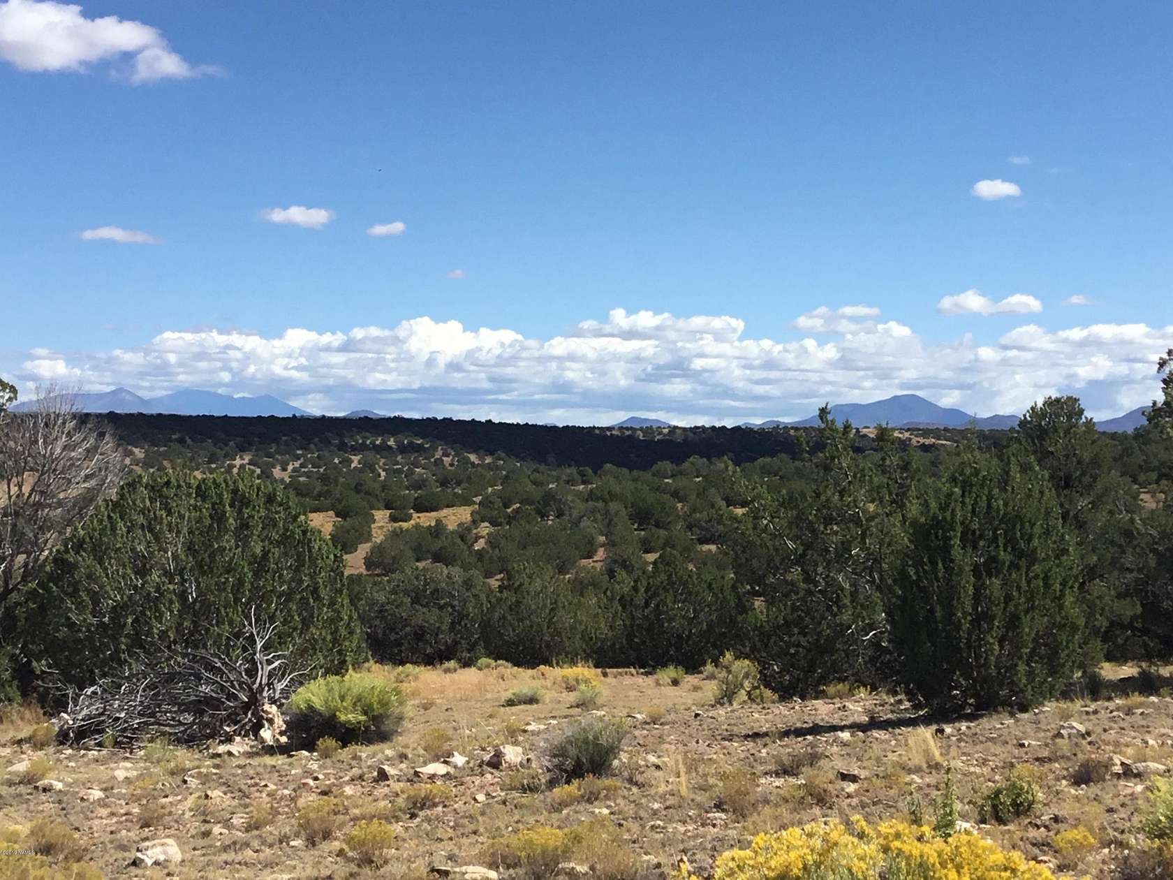 10 Acres of Residential Land for Sale in Williams, Arizona
