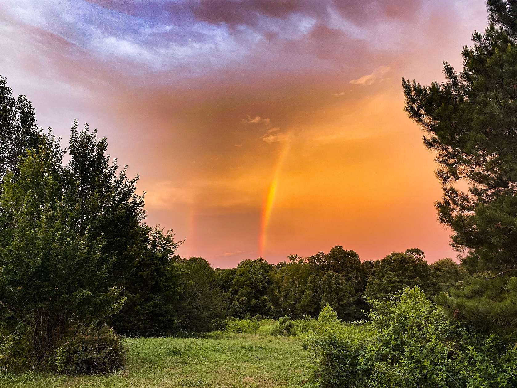 39.7 Acres of Land for Sale in Indian Mound, Tennessee