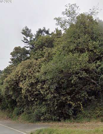 1.53 Acres of Residential Land for Sale in Ophir, Oregon