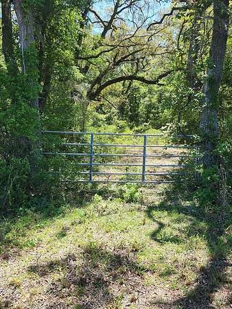 5 Acres of Land for Sale in Old Town, Florida