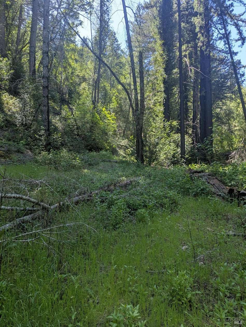 37.4 Acres of Recreational Land for Sale in Geyserville, California