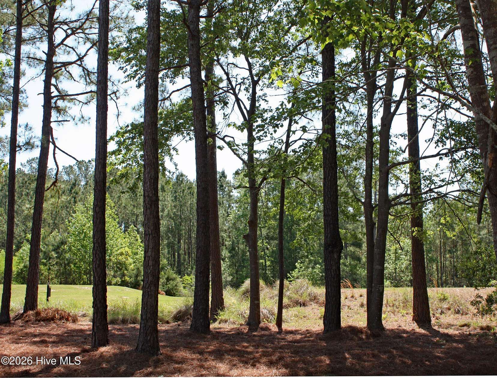 0.36 Acres of Residential Land for Sale in Ocean Isle Beach, North Carolina