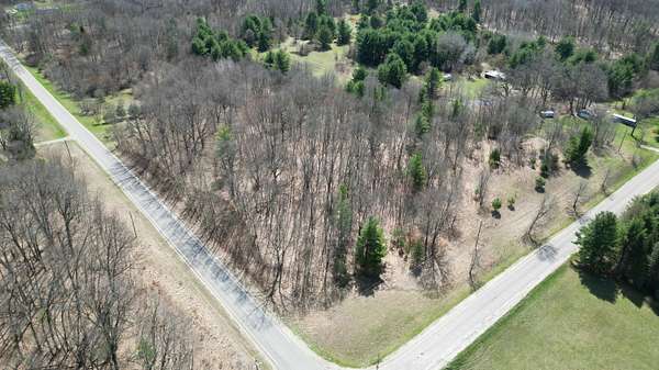 8.84 Acres of Land for Sale in White Cloud, Michigan