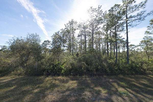0.5 Acres of Residential Land for Sale in Indian Lake Estates, Florida