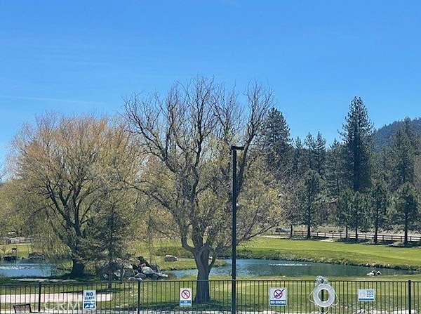 0.34 Acres of Residential Land for Sale in Pine Mountain Club, California