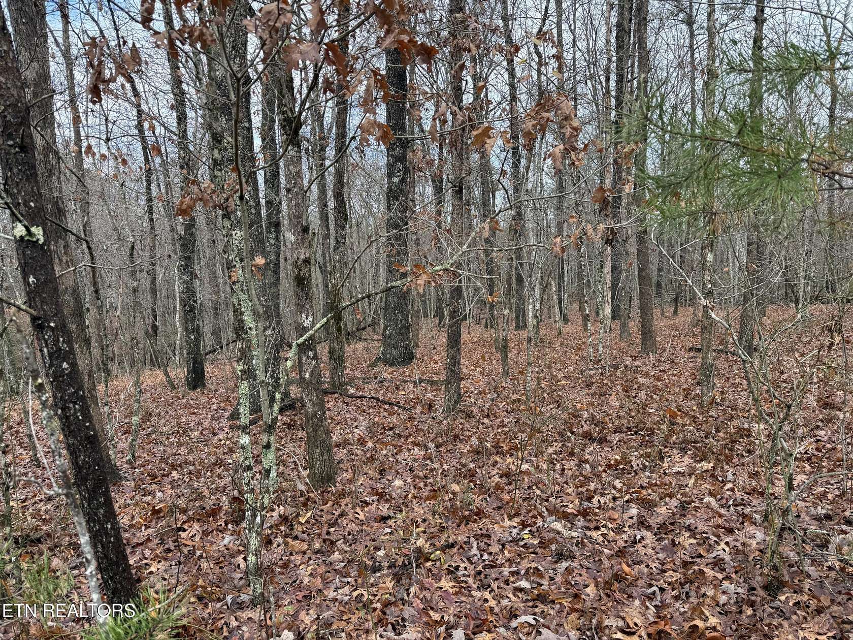 4 Acres of Residential Land for Sale in Monterey, Tennessee