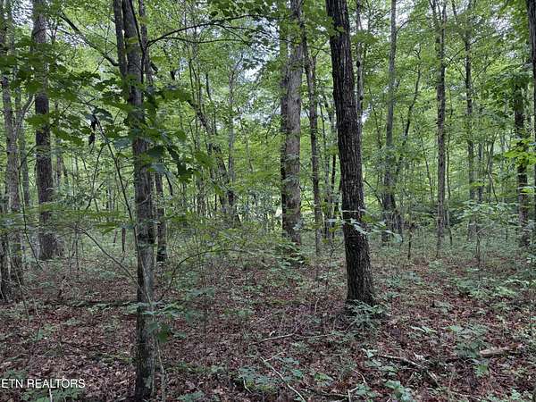 4 Acres of Residential Land for Sale in Monterey, Tennessee