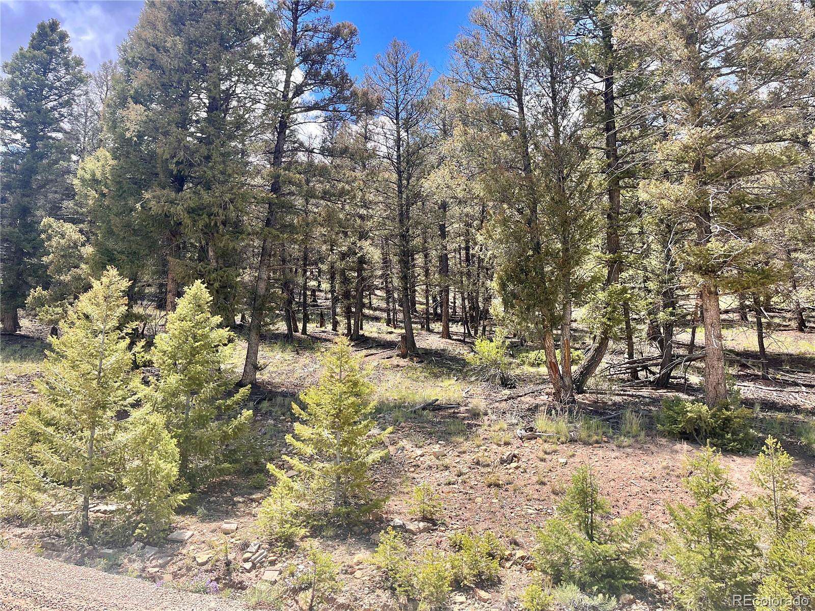 2.67 Acres of Residential Land for Sale in Fairplay, Colorado