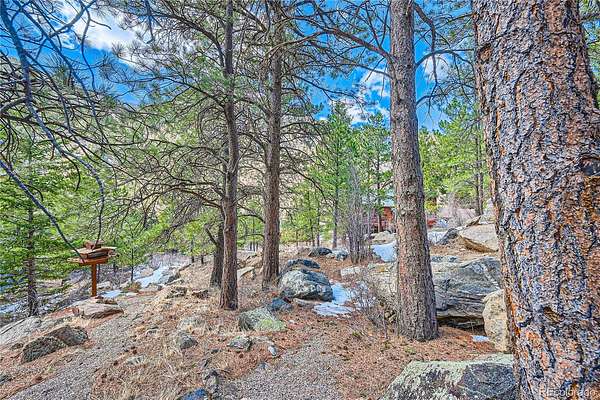 0.14 Acres of Residential Land for Sale in Georgetown, Colorado