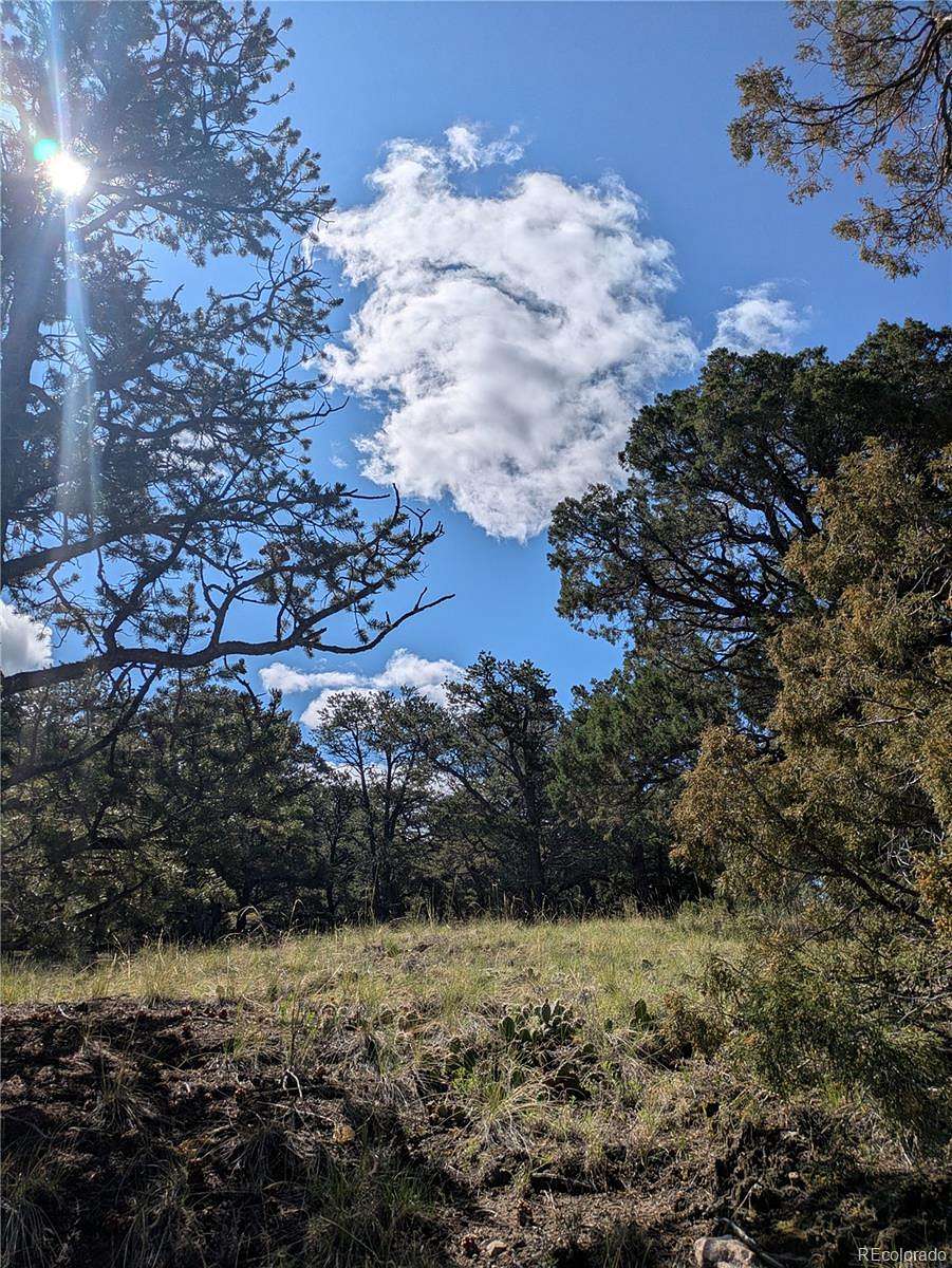 0.5 Acres of Residential Land for Sale in Crestone, Colorado