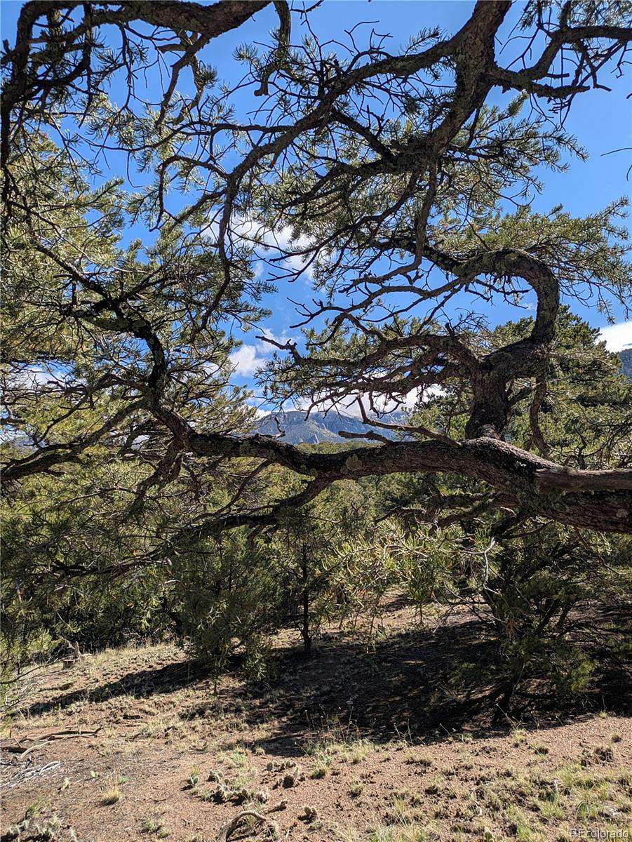 0.64 Acres of Residential Land for Sale in Crestone, Colorado