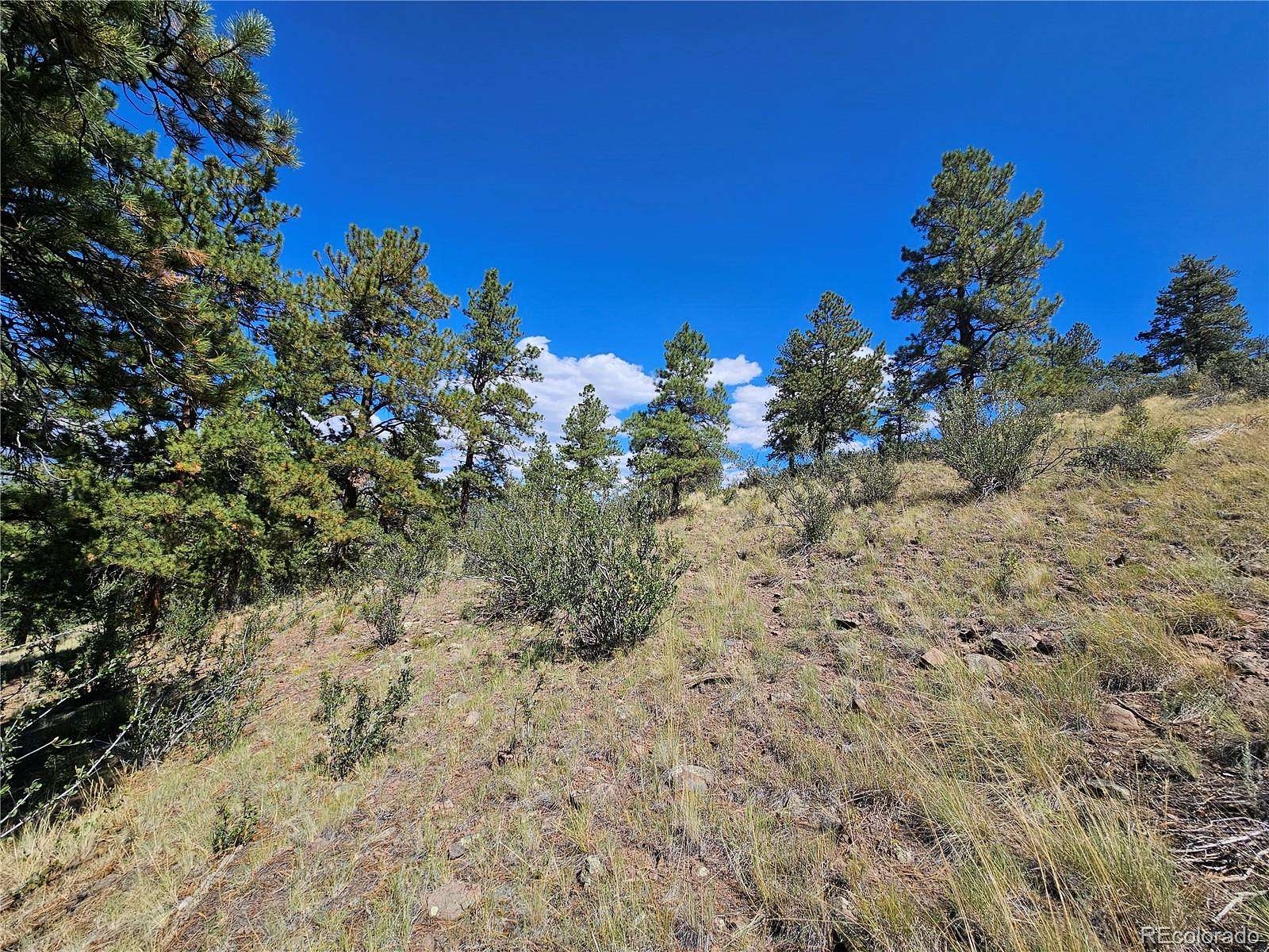 1.54 Acres of Residential Land for Sale in South Fork, Colorado