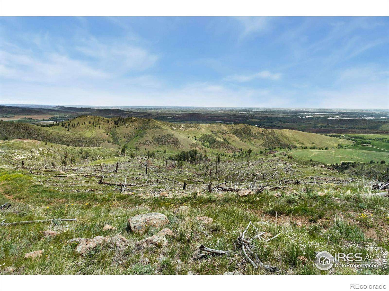 36 Acres of Recreational & Residential Land for Sale in Bellvue, Colorado