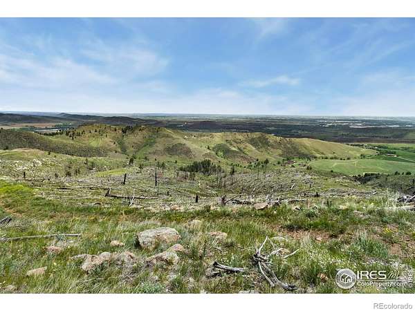 36 Acres of Recreational & Residential Land for Sale in Bellvue, Colorado