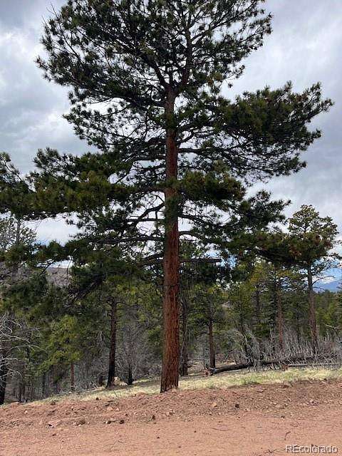 2 Acres of Residential Land for Sale in Fort Garland, Colorado