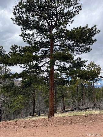 2 Acres of Residential Land for Sale in Fort Garland, Colorado