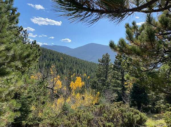 17.8 Acres of Land for Sale in Fort Garland, Colorado