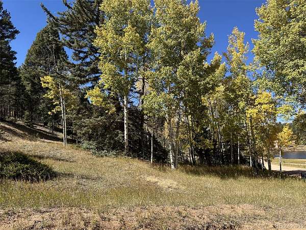 0.59 Acres of Residential Land for Sale in Florissant, Colorado