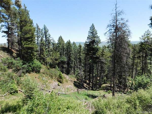 4 Acres of Residential Land for Sale in Larkspur, Colorado