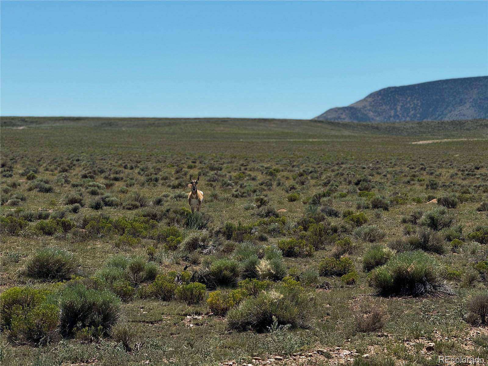 5 Acres of Residential Land for Sale in San Luis, Colorado