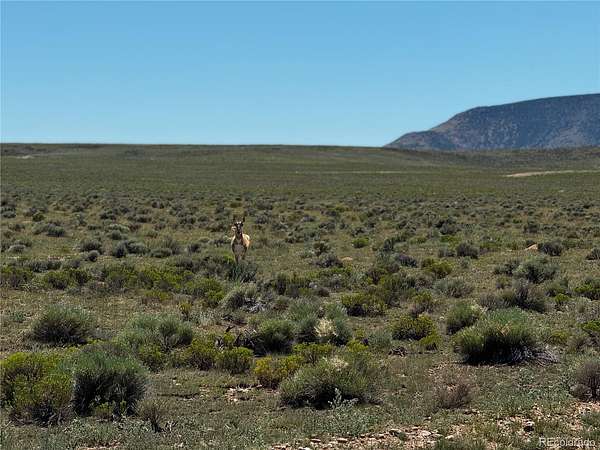 5 Acres of Residential Land for Sale in San Luis, Colorado