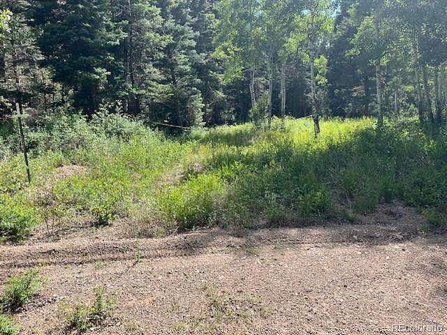 11 Acres of Recreational & Residential Land for Sale in San Luis, Colorado