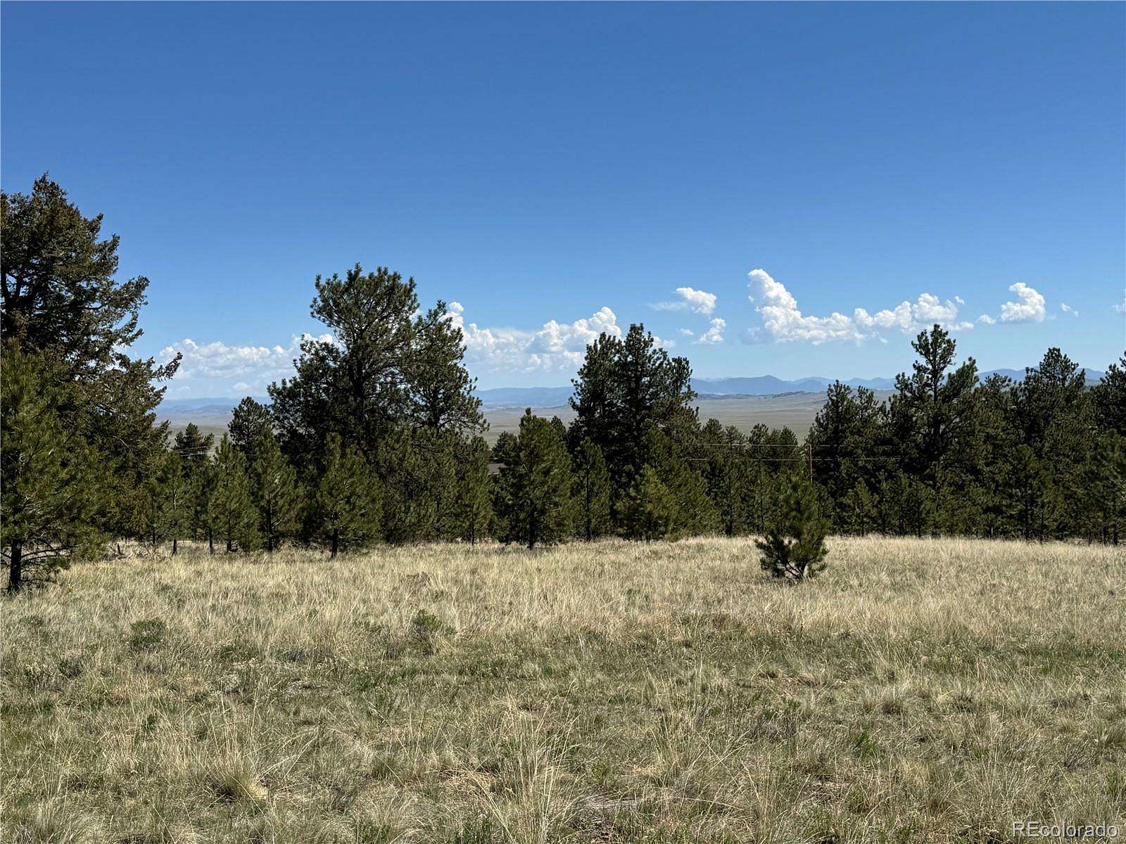 2.5 Acres of Residential Land for Sale in Hartsel, Colorado