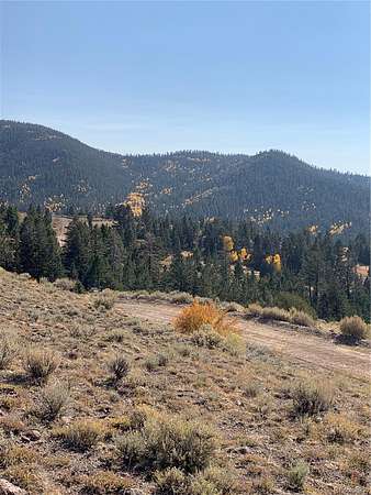 12.8 Acres of Land for Sale in Fort Garland, Colorado