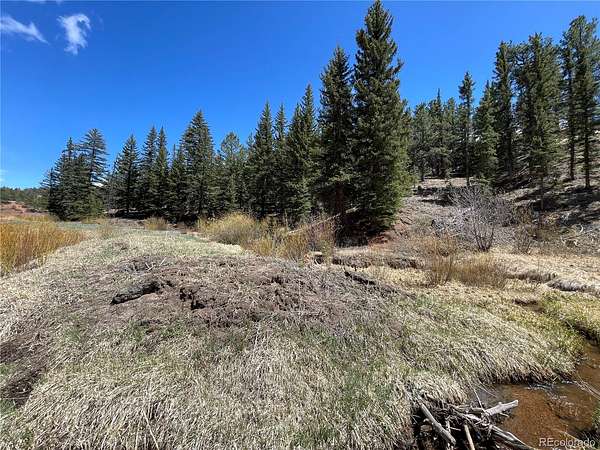 11 Acres of Land for Sale in Florissant, Colorado