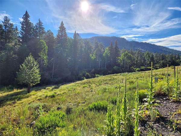 1 Acre of Residential Land for Sale in South Fork, Colorado