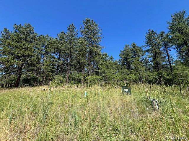 0.9 Acres of Land for Sale in Larkspur, Colorado