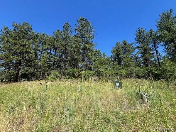 0.9 Acres of Land for Sale in Larkspur, Colorado