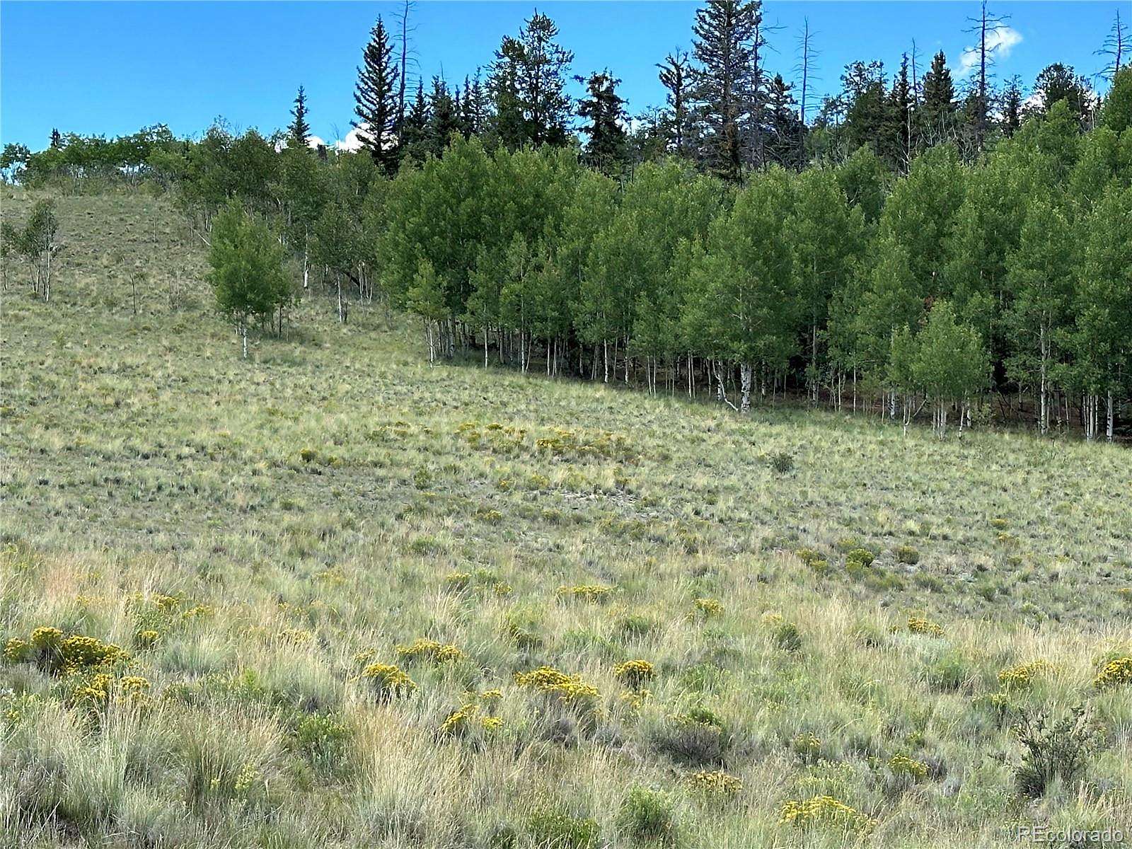 2.7 Acres of Residential Land for Sale in Jefferson, Colorado