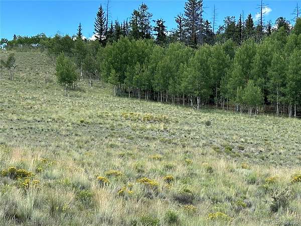 2.7 Acres of Residential Land for Sale in Jefferson, Colorado