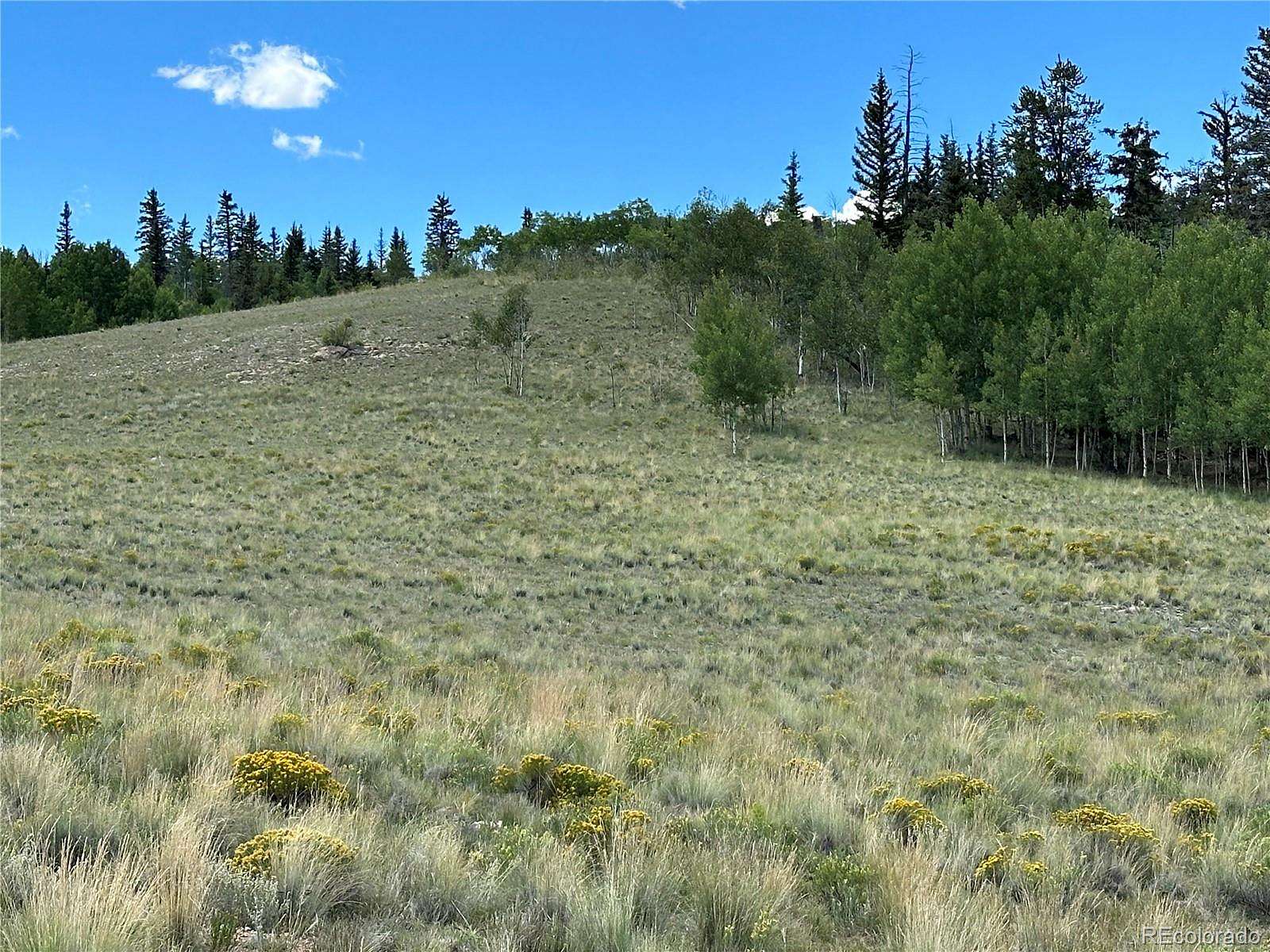 2 Acres of Residential Land for Sale in Jefferson, Colorado