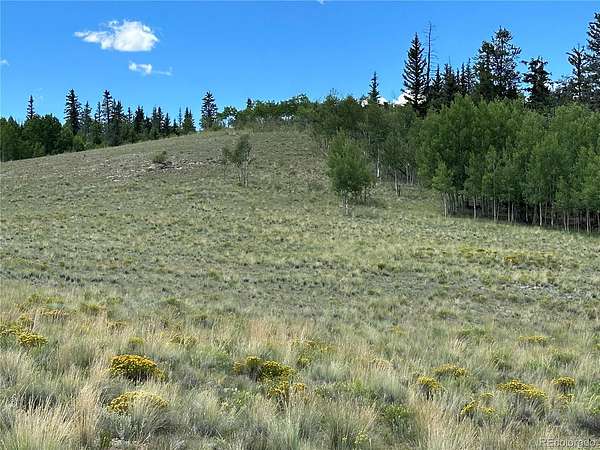 2 Acres of Residential Land for Sale in Jefferson, Colorado