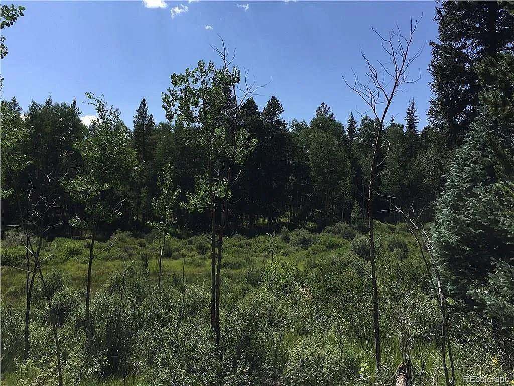 10 Acres of Residential Land for Sale in Alma, Colorado