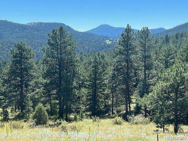 14.7 Acres of Land for Sale in Conifer, Colorado