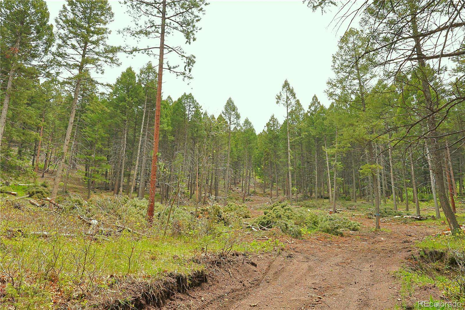 4.45 Acres of Residential Land for Sale in Larkspur, Colorado